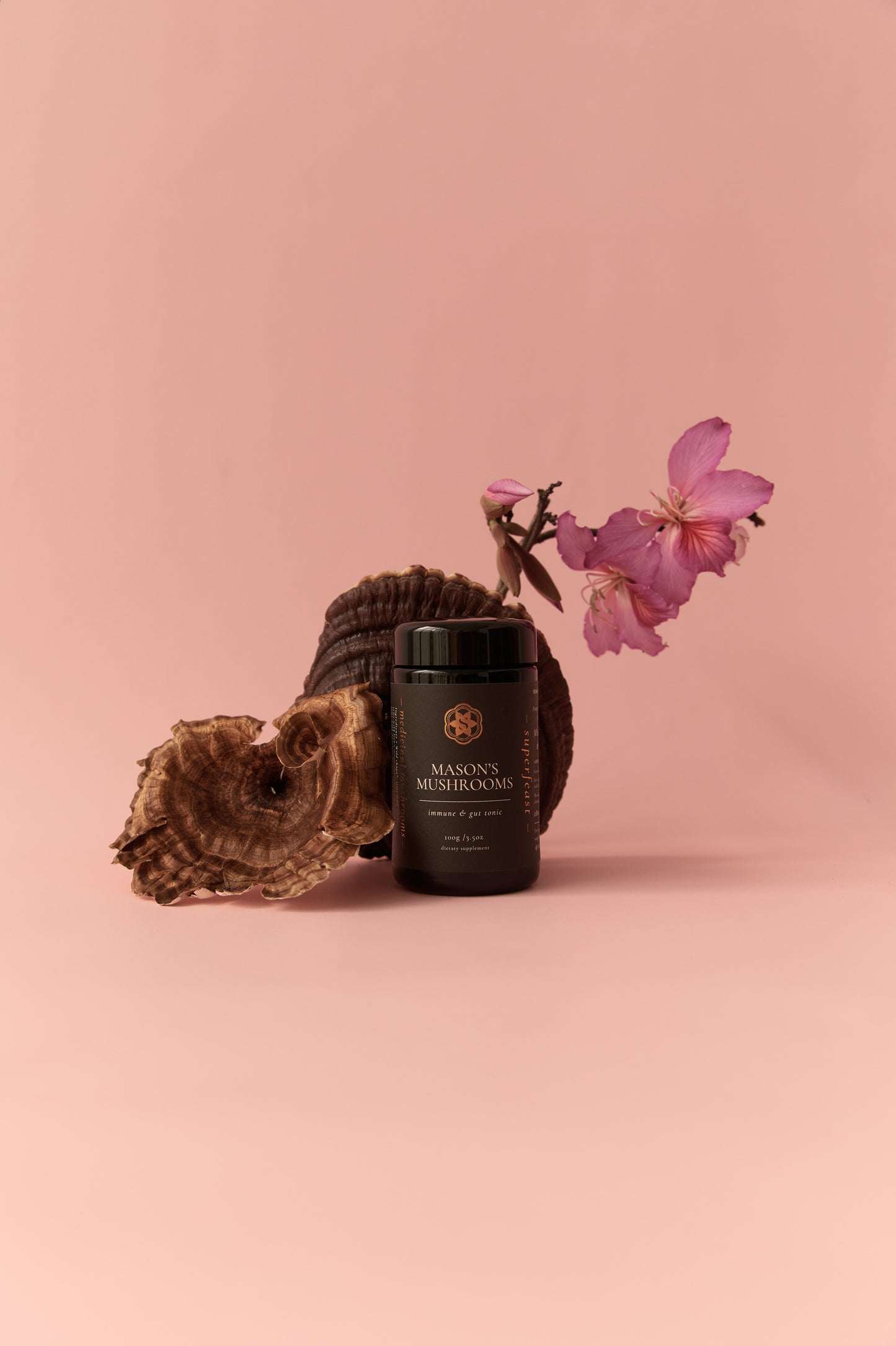 Mason's Mushrooms 100g