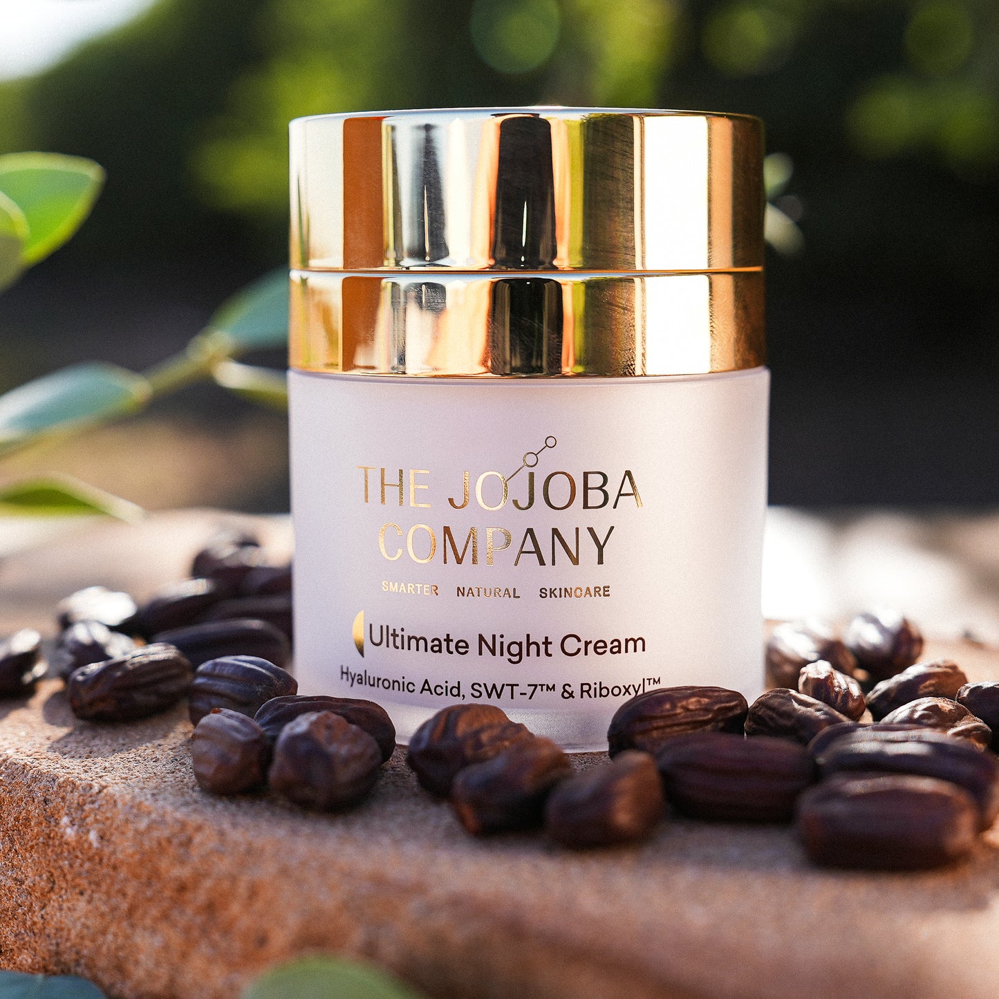 Ultimate Night Cream 50ml
